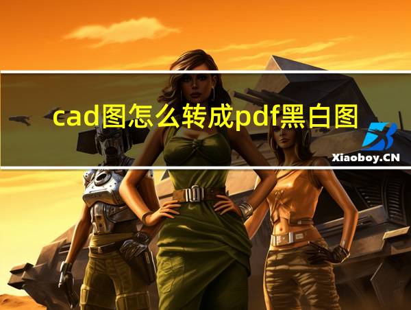 cad图怎么转成pdf黑白图片的相关图片