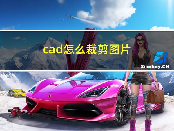 cad怎么裁剪图片的相关图片