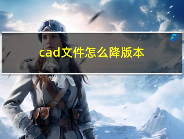 cad文件怎么降版本的相关图片