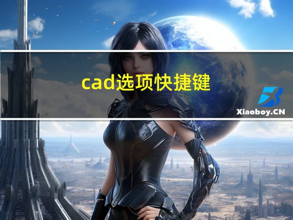 cad选项快捷键的相关图片