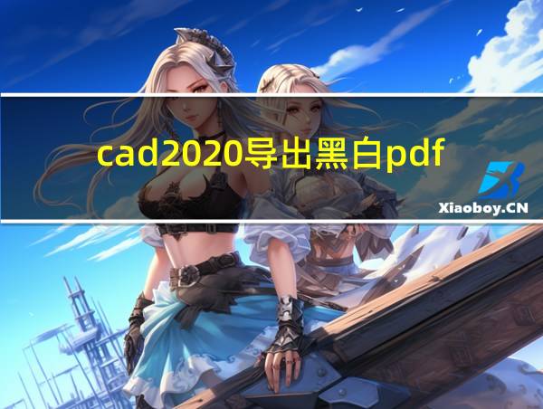 cad2020导出黑白pdf的相关图片