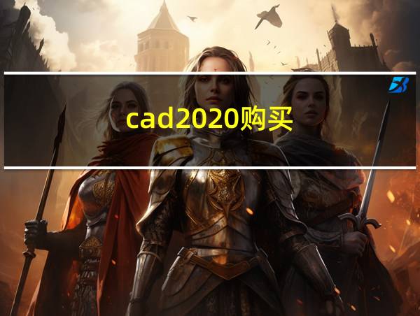 cad2020购买的相关图片