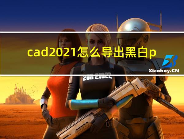 cad2021怎么导出黑白pdf的相关图片