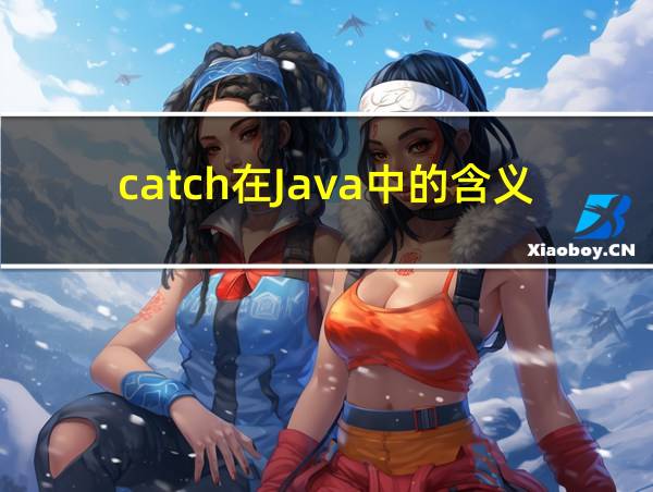 catch在Java中的含义的相关图片