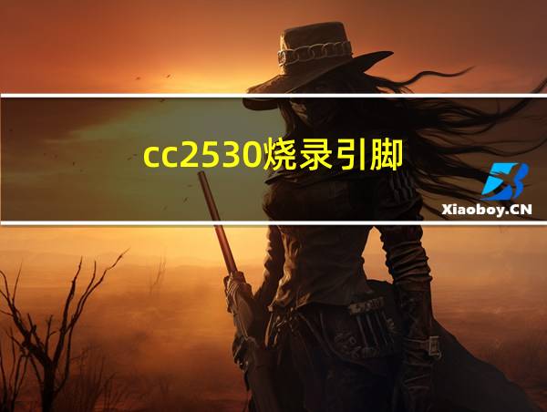 cc2530烧录引脚的相关图片