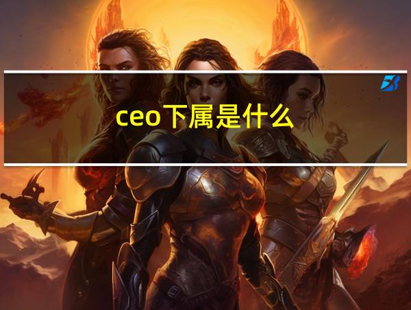 ceo下属是什么的相关图片