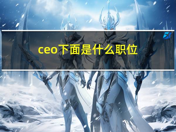 ceo下面是什么职位的相关图片