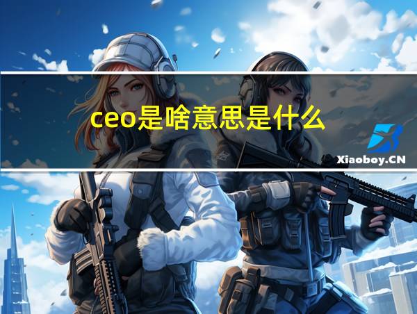 ceo是啥意思是什么的相关图片