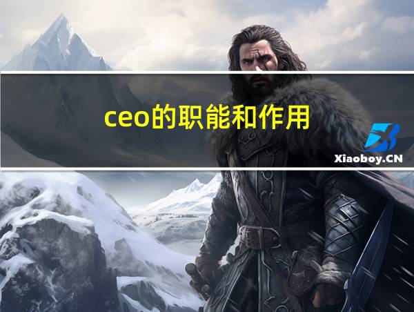 ceo的职能和作用的相关图片