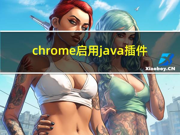 chrome启用java插件的相关图片