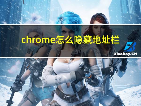 chrome怎么隐藏地址栏的相关图片