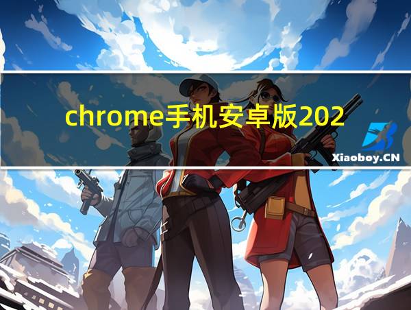 chrome手机安卓版2023的相关图片