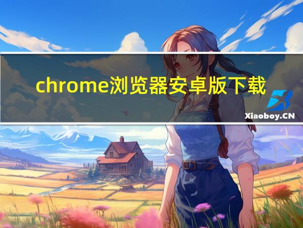 chrome浏览器安卓版下载官网的相关图片