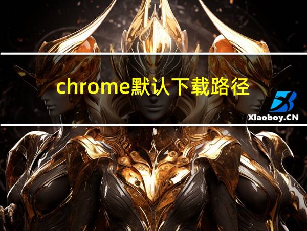 chrome默认下载路径的相关图片