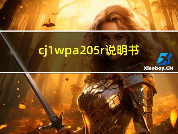 cj1wpa205r说明书的相关图片