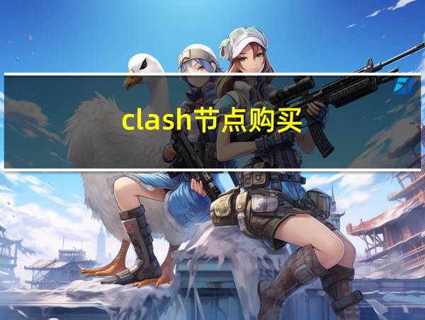 clash节点购买的相关图片