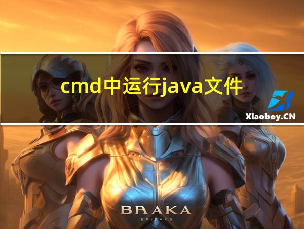 cmd中运行java文件的相关图片