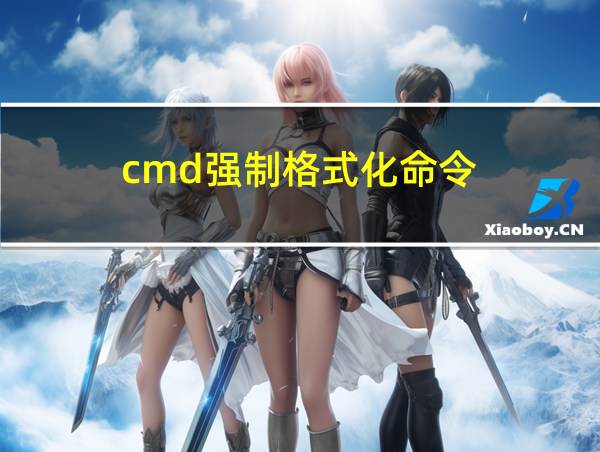 cmd强制格式化命令的相关图片