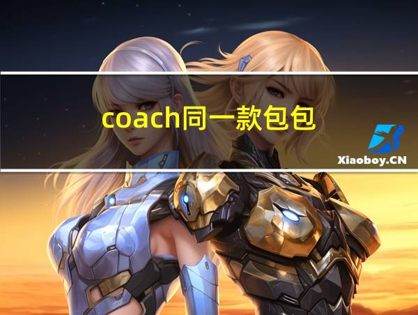 coach同一款包包的相关图片