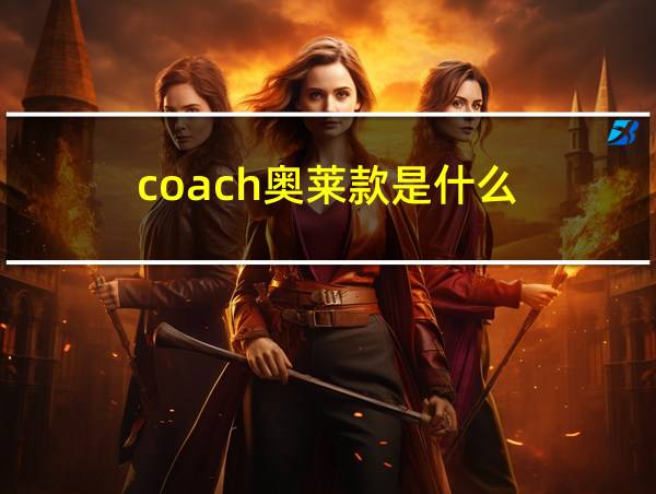 coach奥莱款是什么的相关图片