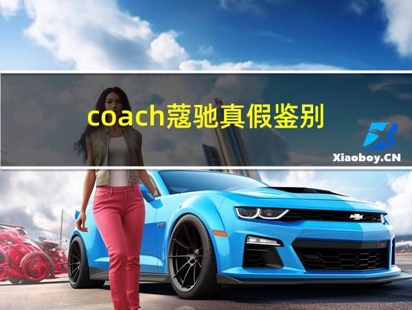 coach蔻驰真假鉴别的相关图片