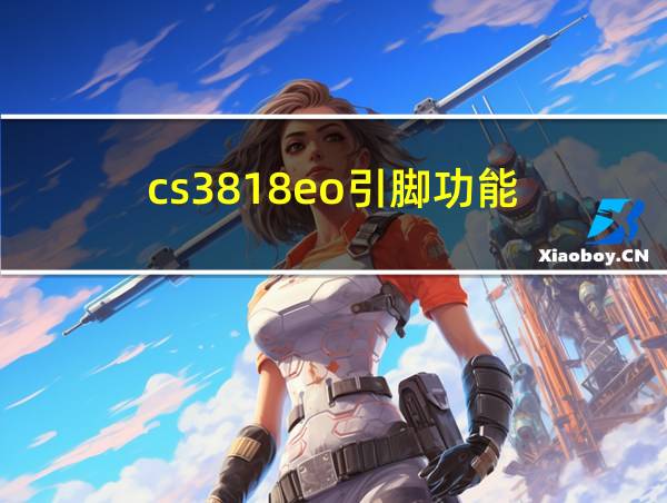 cs3818eo引脚功能的相关图片