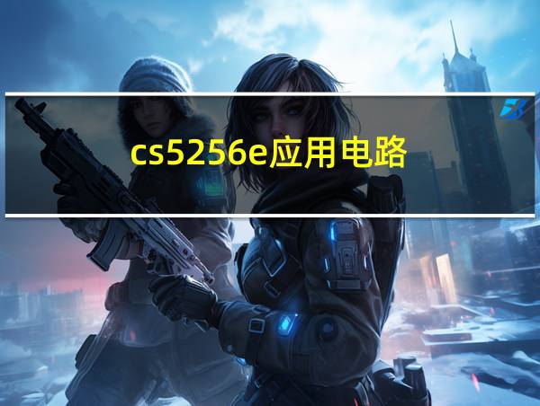 cs5256e应用电路的相关图片