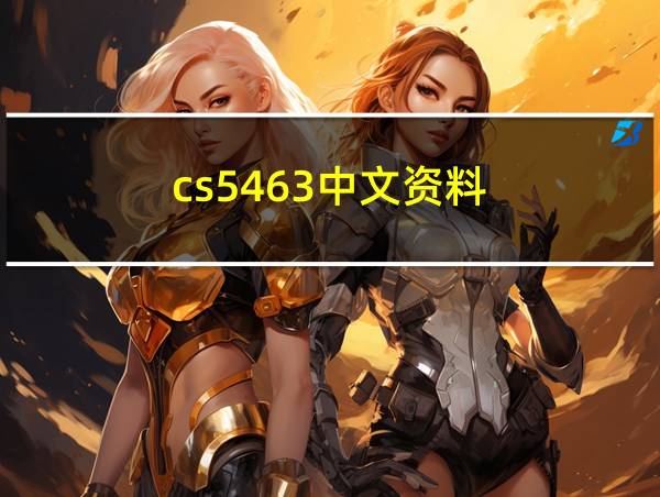 cs5463中文资料的相关图片