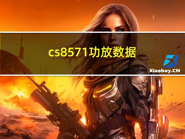 cs8571功放数据的相关图片