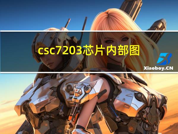 csc7203芯片内部图的相关图片