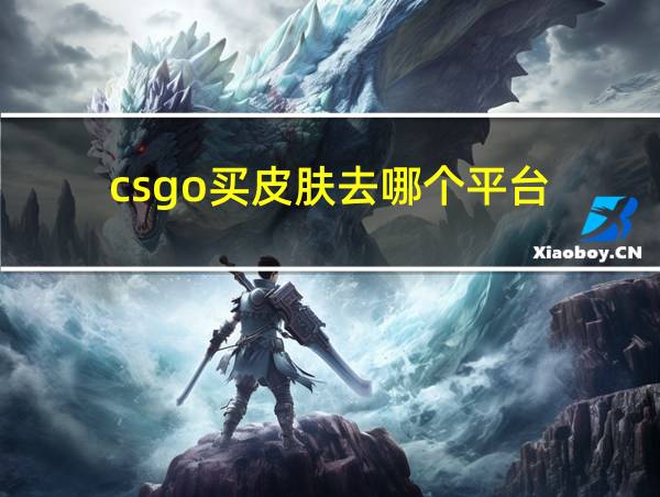 csgo买皮肤去哪个平台的相关图片