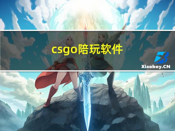 csgo陪玩软件的相关图片