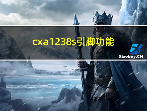 cxa1238s引脚功能的相关图片