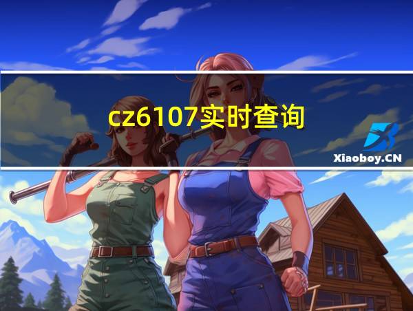 cz6107实时查询的相关图片