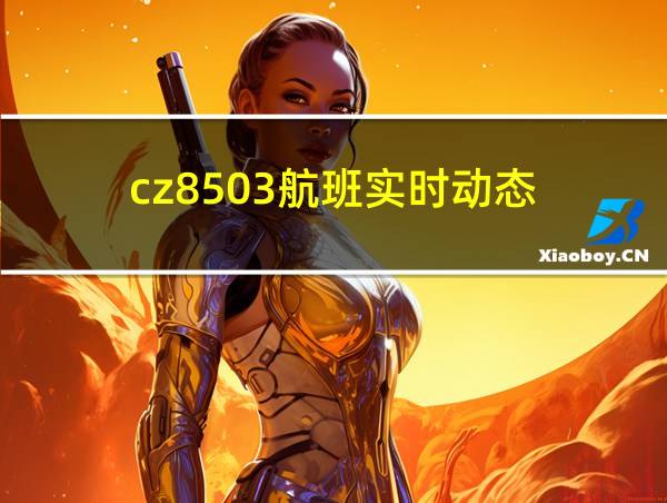 cz8503航班实时动态的相关图片