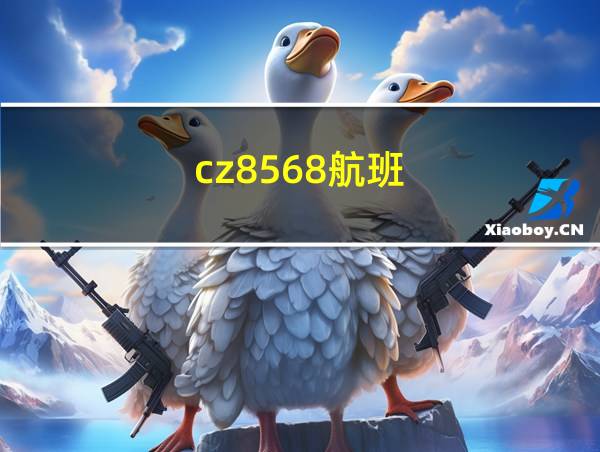 cz8568航班的相关图片