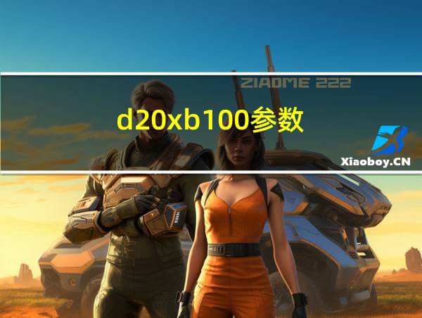 d20xb100参数的相关图片