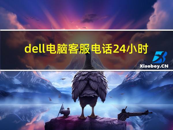 dell电脑客服电话24小时的相关图片