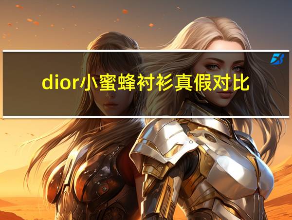 dior小蜜蜂衬衫真假对比的相关图片