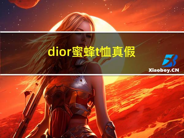 dior蜜蜂t恤真假的相关图片