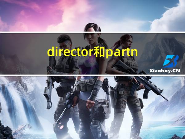 director和partner的相关图片