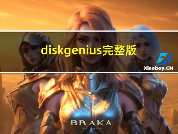 diskgenius完整版的相关图片