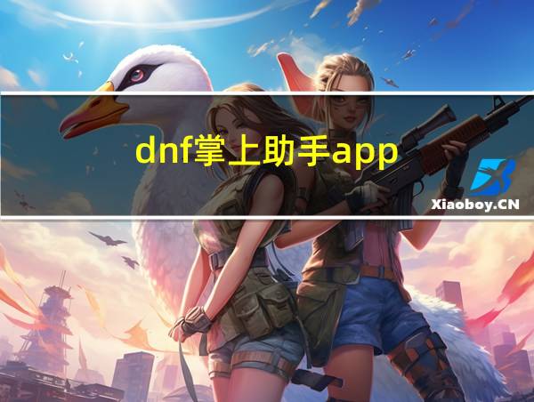 dnf掌上助手app的相关图片