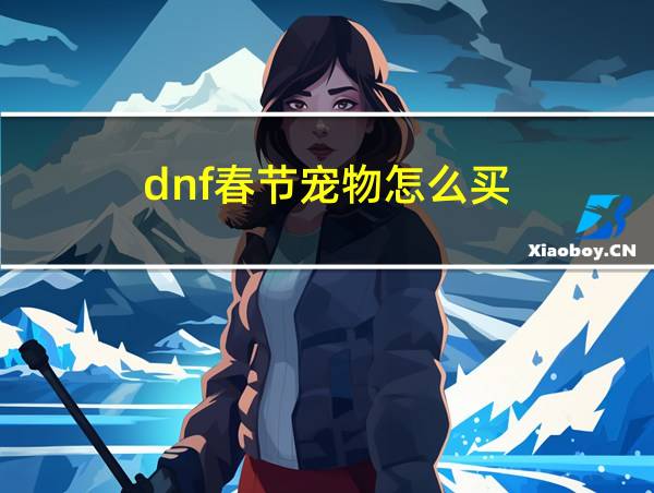 dnf春节宠物怎么买