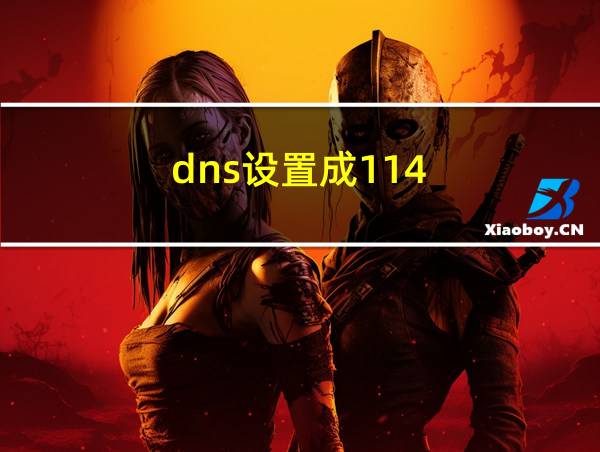 dns设置成114.114.114的相关图片