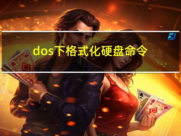 dos下格式化硬盘命令的相关图片