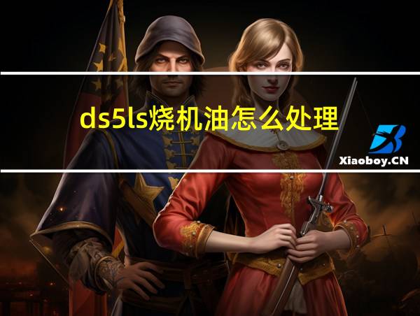 ds5ls烧机油怎么处理的相关图片