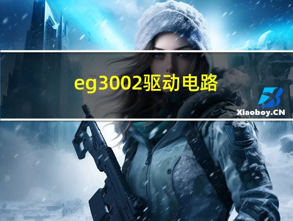 eg3002驱动电路的相关图片