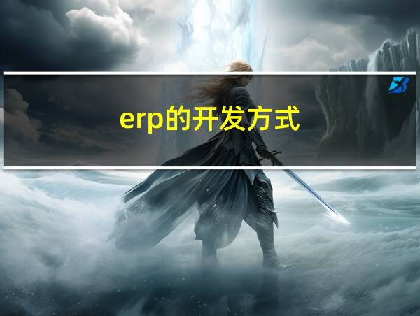 erp的开发方式的相关图片