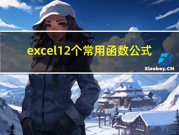 excel12个常用函数公式的相关图片